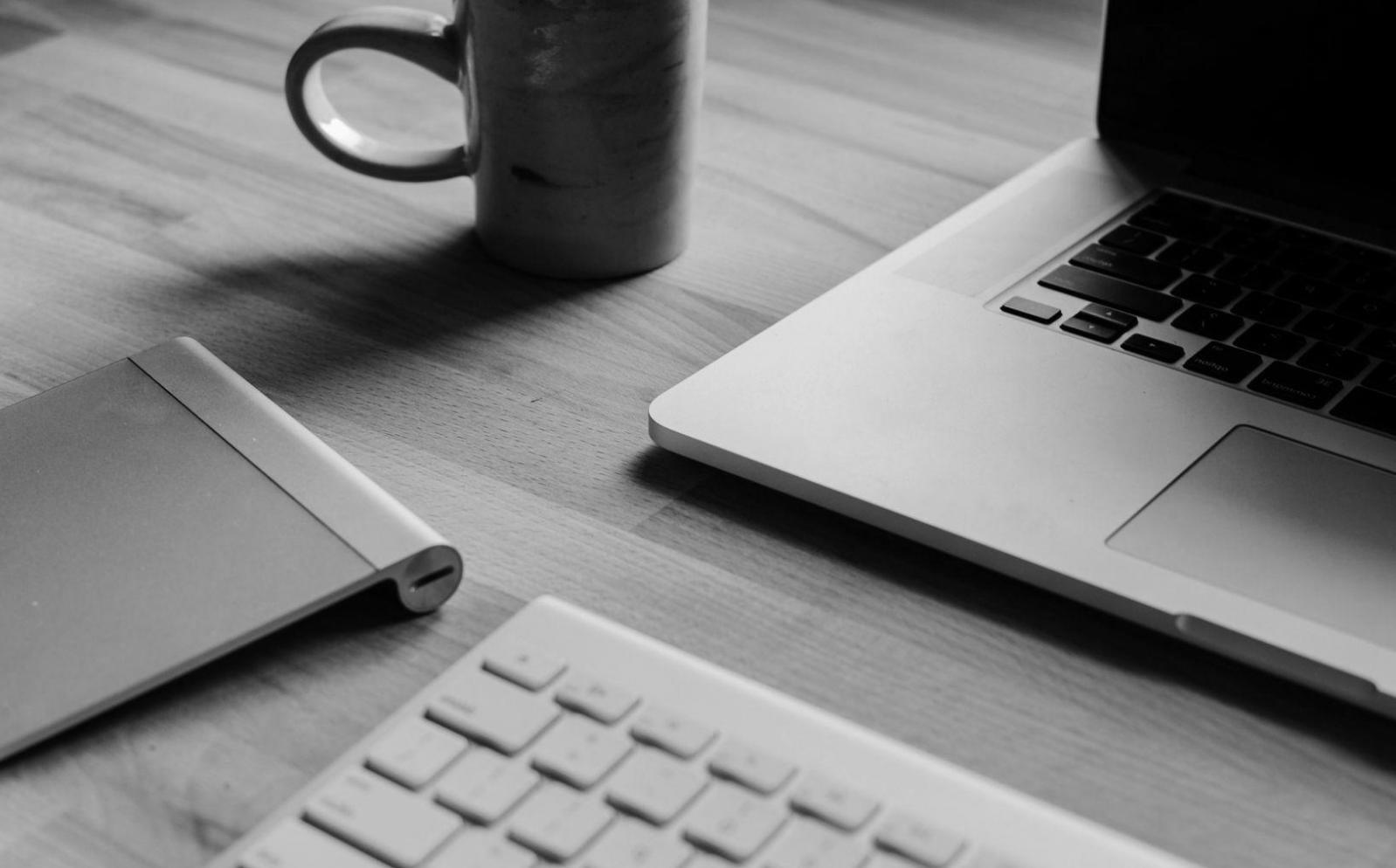 Equipo de zelquivorystudio trabajando en nuevas funcionalidades