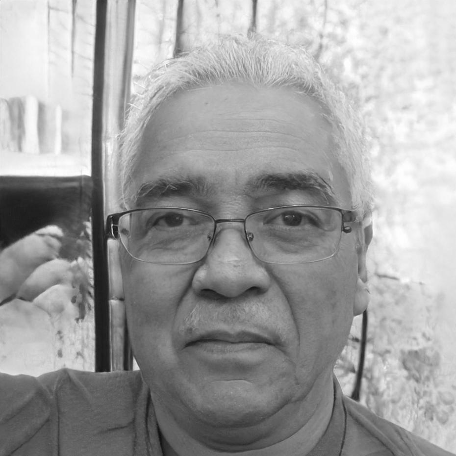 Carlos Mendoza, Co-fundador de zelquivorystudio